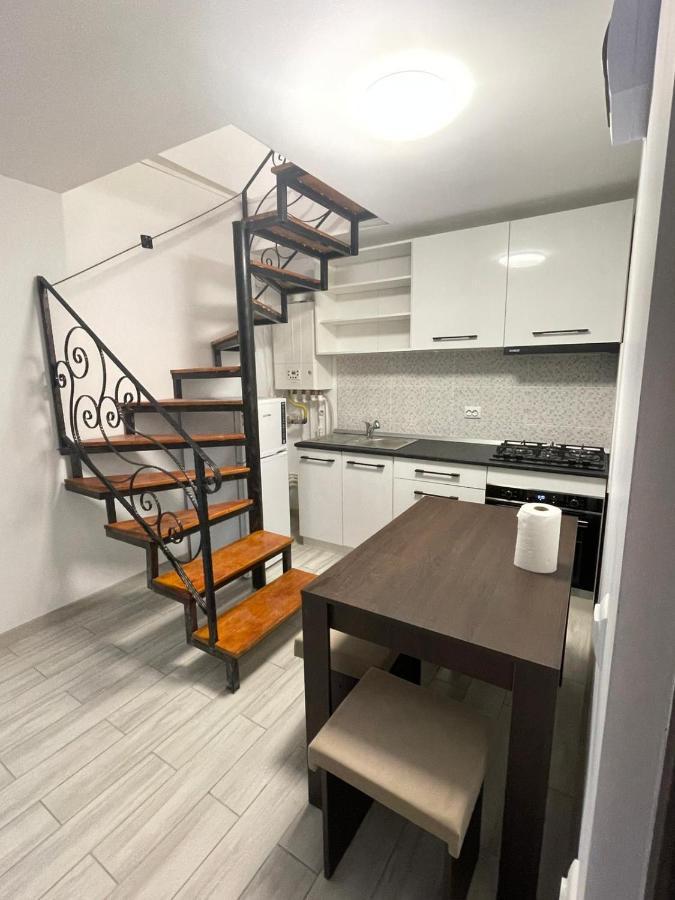 Casa Dan Διαμέρισμα Μπουζάου Εξωτερικό φωτογραφία